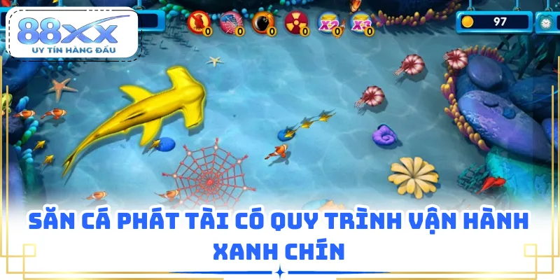Săn cá phát tài có quy trình vận hành xanh chín