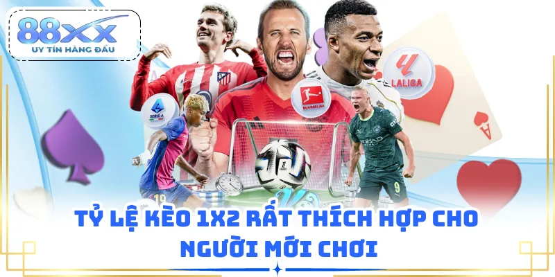 Tỷ lệ kèo 1x2 rất thích hợp cho người mới chơi